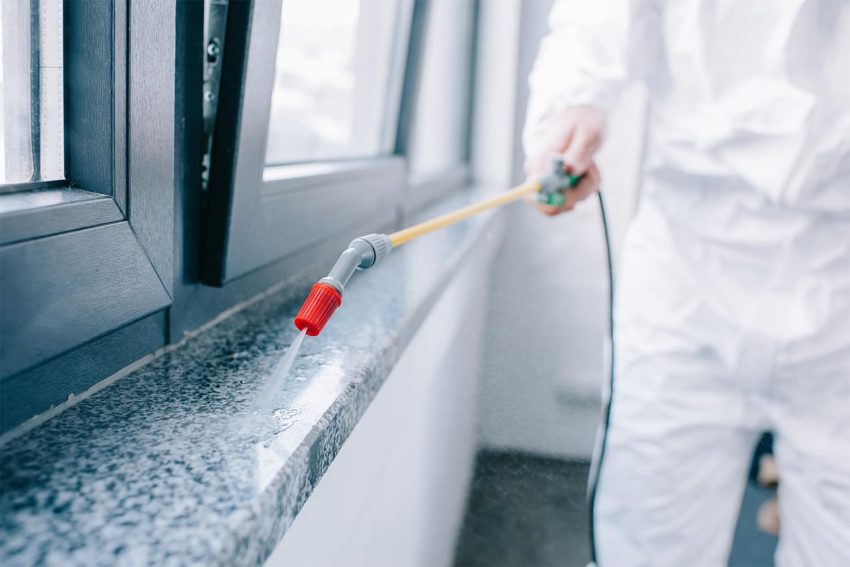 Choosing the Right Pest Control Service: Factors to Consider